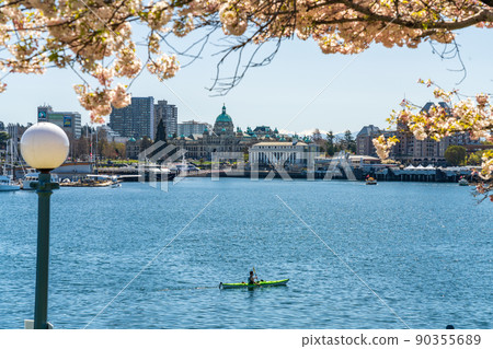 Victoria, BC, Canada - April 14 2021 : Victoria Inner Harbour. Historical buildings in the background over blue sky. Panoramic view. Full bloom cherry blossom during springtime. 90355689