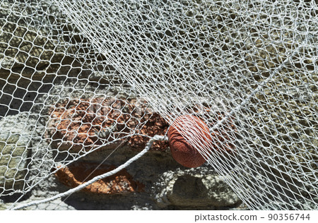 Net float and fishing net 90356744
