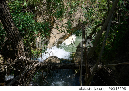 Windbreak and deadwood Ayuna water stream. River Nahal Ayun. Reserve and national park. Upper Galilee, Israel 90358398