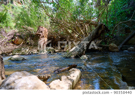 Windbreak and deadwood Ayuna water stream. River Nahal Ayun. Reserve and national park. Upper Galilee, Israel 90358440