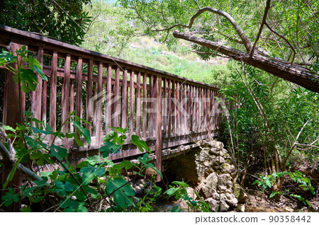 Wooden bridge over the Ayuna water stream. River Nahal Ayun. Reserve and national park. Upper Galilee, Israel 90358442