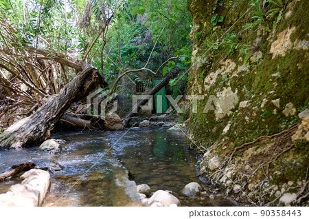 Windbreak and deadwood Ayuna water stream. River Nahal Ayun. Reserve and national park. Upper Galilee, Israel 90358443