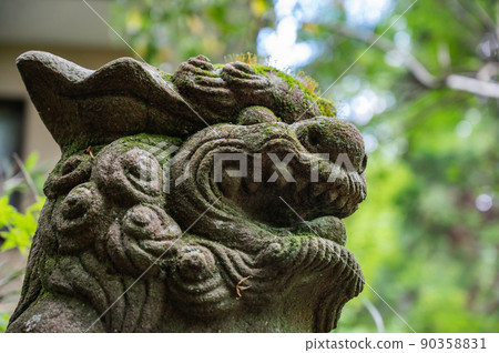 強大的看門狗 90358831