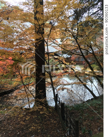 秋天的池塘 秋天的池塘 90360133