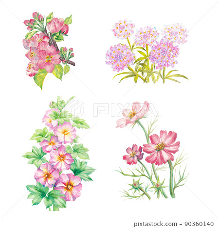 Hand-painted watercolor illustrations of 4 kinds of pink flowers: apple flowers, iberis, hollyhock, cosmos 90360140