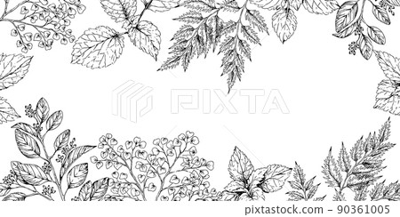 Botanical decorative frame border hand-painted herb illustration 90361005