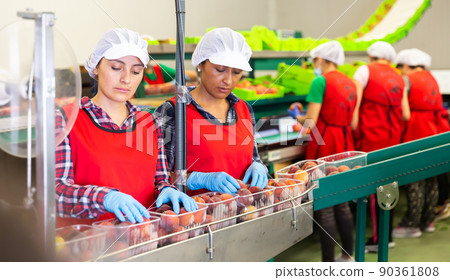 Focused woman working on fruit sorting line at warehouse Focused woman working on fruit sorting line at warehouse 90361808