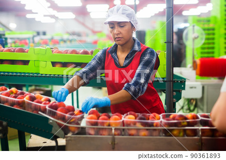 Latina female sorting peaches at fruits warehouse 90361893