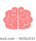 brain  90362035