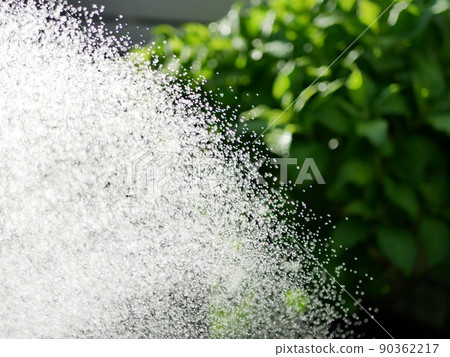 Watering the garden with a shower nozzle [Garden] [Early summer] [Summer] 90362217