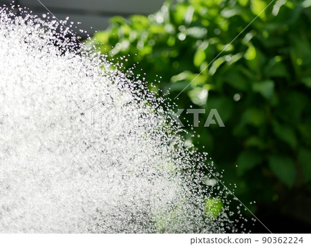 Watering the garden with a shower nozzle [Garden] [Early summer] [Summer] 90362224