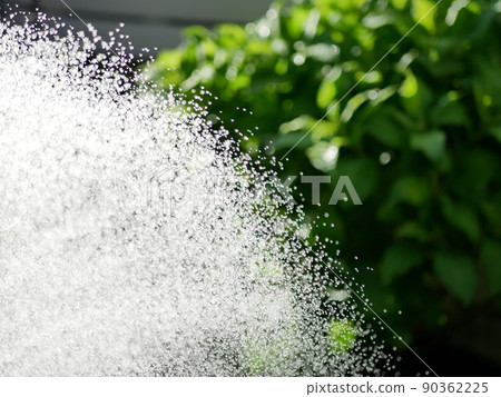 Watering the garden with a shower nozzle [Garden] [Early summer] [Summer] 90362225
