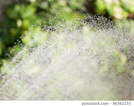 Watering the garden with a shower nozzle [Garden] [Early summer] [Summer] 90362255