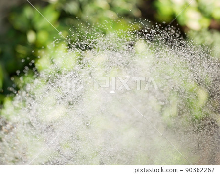 Watering the garden with a shower nozzle [Garden] [Early summer] [Summer] 90362262