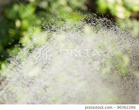 Watering the garden with a shower nozzle [Garden] [Early summer] [Summer] 90362266