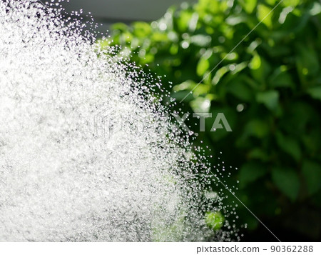 Watering the garden with a shower nozzle [Garden] [Early summer] [Summer] 90362288
