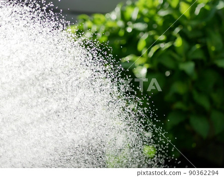 Watering the garden with a shower nozzle [Garden] [Early summer] [Summer] 90362294