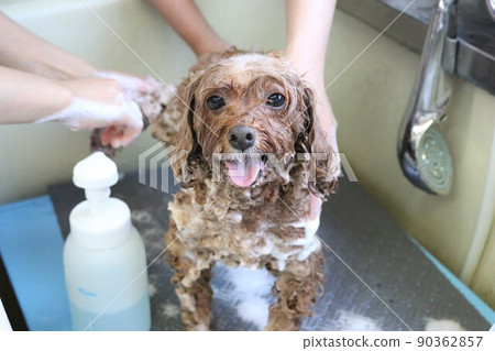 trimming trimming 90362857