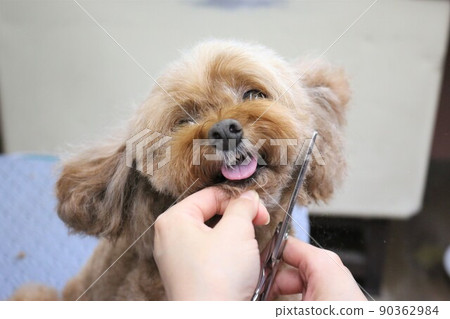 trimming 90362984