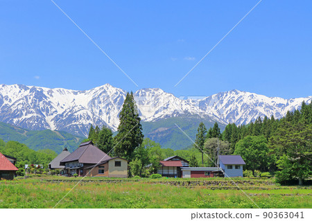 五月的白馬村大出之裡 90363041