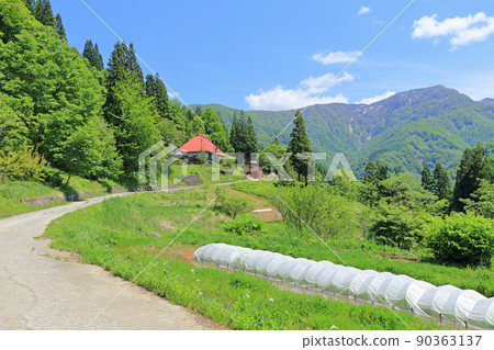 Shinshu Otari Village Mountainous May Shinshu Otari Village Mountainous May 90363137