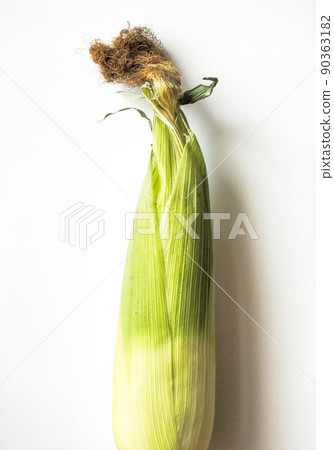 Corn 4 90363182