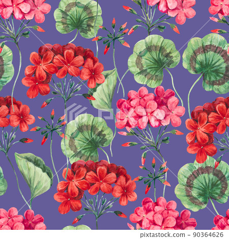 Watercolor seamless pattern of geranium flowers... - Stock Illustration ...