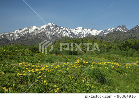 新鮮的綠色蘆別山 90364910