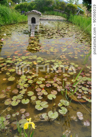 美麗的英式花園 美麗的英式花園 90366019