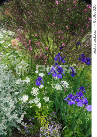 美麗的英式花園 美麗的英式花園 90366020