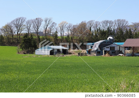 Scenery with Iwate Takizawa ranch 90366085