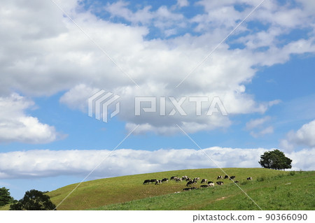 Iwate Hirono Ono Ranch Grazing beef Iwate Hirono Ono Ranch Grazing beef 90366090