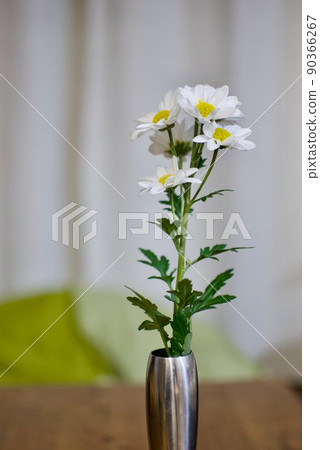 一朵白花 90366267