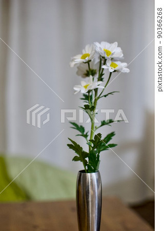 一朵白花 90366268