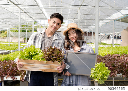 Hydroponics, a smiling young Asian farmer holding a vegetable basket and blackboard, stands on a farm growing commercial organic vegetables. Organic farming business concept 90366565