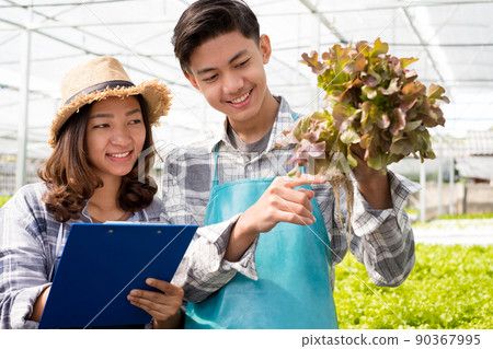 Hydroponics, young Asian farmers examined the quality of organic vegetables grown using hydroponics and documented leaf growth records. Organic farming business concept 90367995