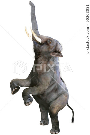 Indian elephant ☆ Indian Elephant Indian elephant ☆ Indian Elephant 90368051