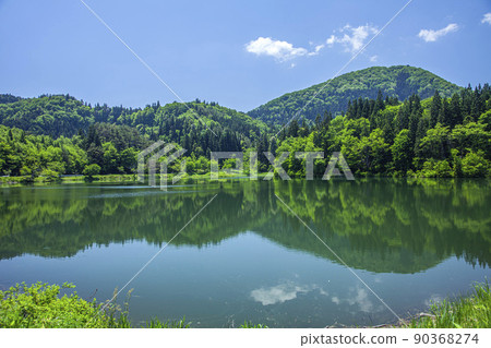 Prefectural Forest Higuchi Swamp Prefectural Forest Higuchi Swamp 90368274
