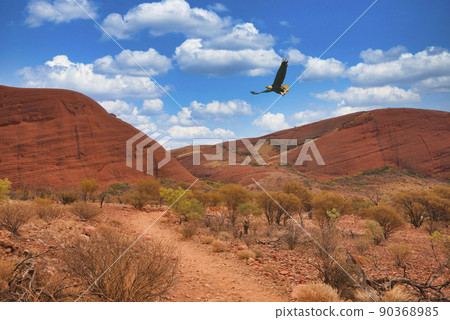 奧爾加山風谷步行道 奧爾加山風谷步行道 90368985