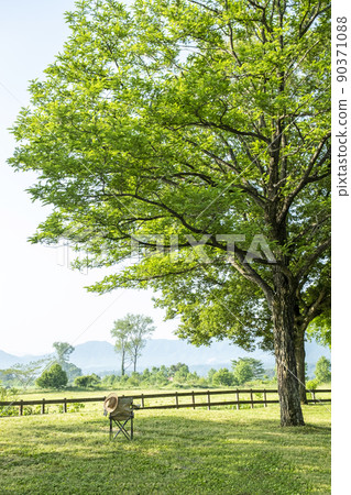 新鮮的綠色/初夏露營地（Hiruzen Kogen） 90371088