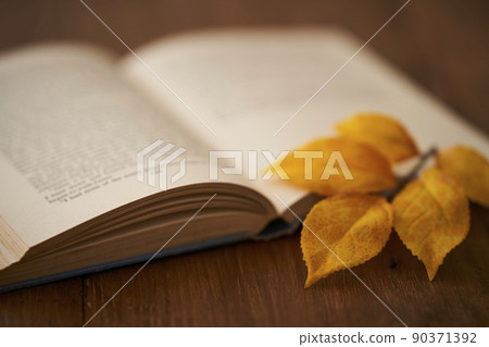 Autumn reading image Autumn reading image 90371392