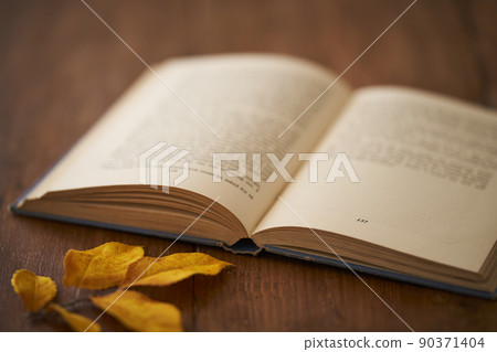 Autumn reading image Autumn reading image 90371404