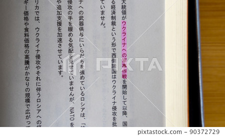 社會/經濟/國際術語/詞（烏克蘭軍事行動）粉紅色 90372729