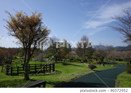 Scenery of the clear stream village of Lake Yamanaka Flower City Park Scenery of the clear stream village of Lake Yamanaka Flower City Park 90372952
