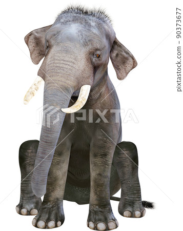 印度象 ☆ 印度象 90373677