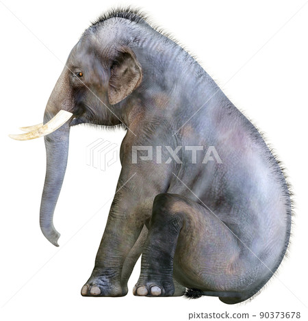 印度象 ☆ 印度象 90373678