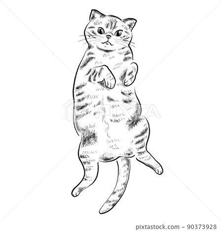 一隻貓躺在它的背上的插圖素材黑白 90373928