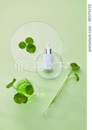 Glass petri dish and test tube with centella asiatica (gotu kola) extract and serum bottle mockup . Research and develop cosmetic production in the laboratory. Top view image 90374258