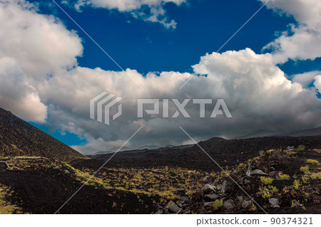 Etna Volcanic landscape Etna Volcanic landscape 90374321