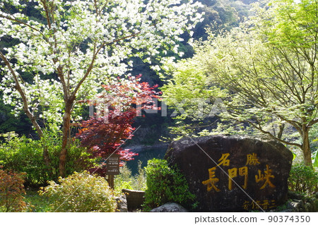 春文橋入口石碑和樹木景觀 春文橋入口石碑和樹木景觀 90374350